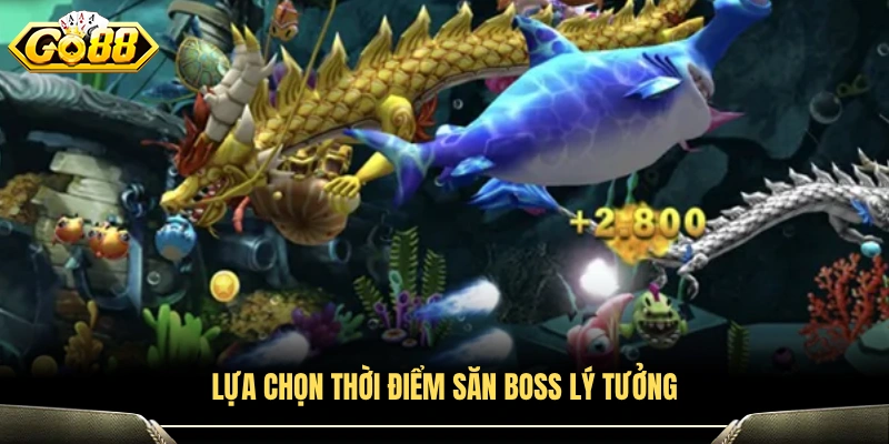 Chọn thời điểm thích hợp tiêu diệt boss