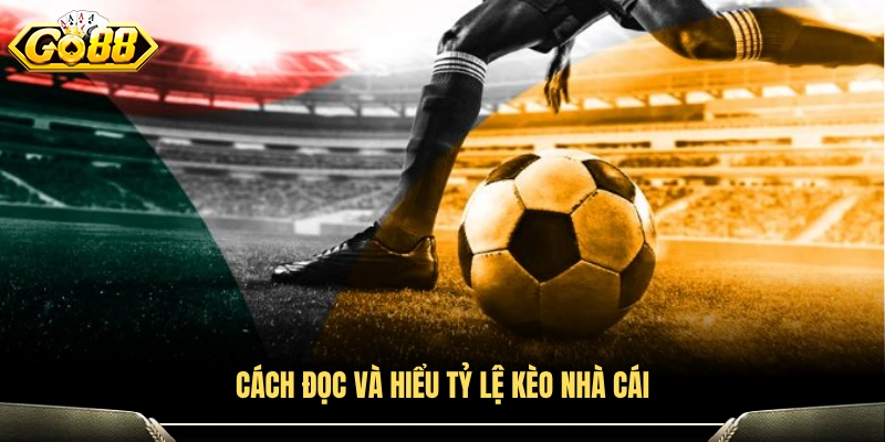 Chi tiết cách đọc và phân tích tỷ lệ kèo