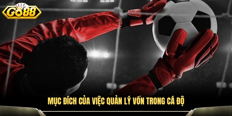 Vai trò của việc kiểm soát ngân sách khi tham gia cá cược