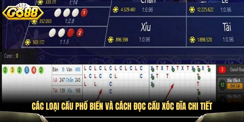 Dạng cầu thường gặp và hướng dẫn cách đọc cầu xóc đĩa