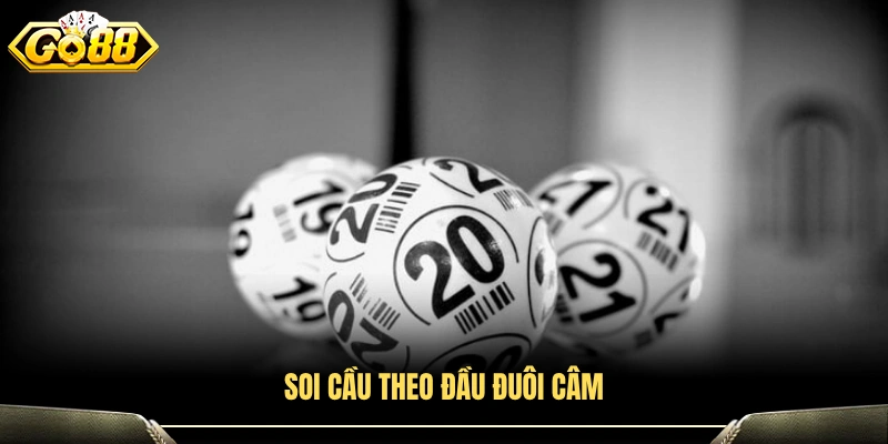 Chiến thuật soi cầu lô dựa trên đầu và đuôi câm