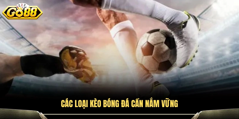 Những dạng kèo bóng đá quan trọng cần hiểu rõ